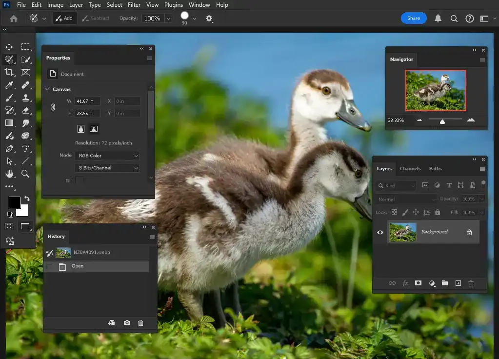 Photoshop Screen Modes Tool Tutorial