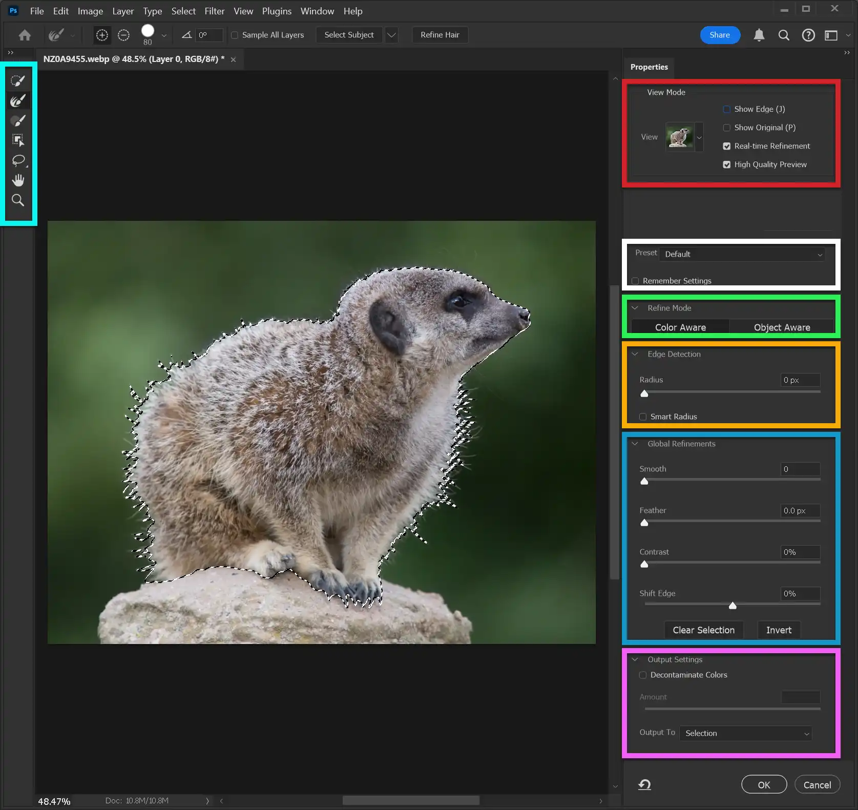 Photoshop Select and Mask Tool Tutorial