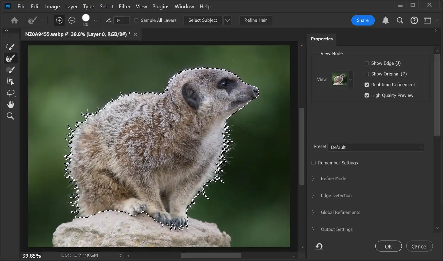 Photoshop Select and Mask Tool Tutorial