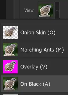 Photoshop Select and Mask Tool Tutorial