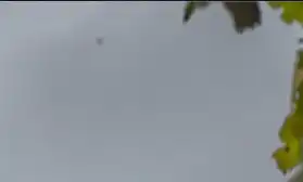 Photoshop Spot Healing Brush Tool Tutorial