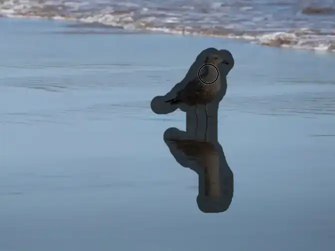 Photoshop Spot Healing Brush Tool Tutorial