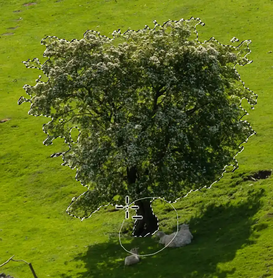 Photoshop Resize Object with Move Tool tutorial