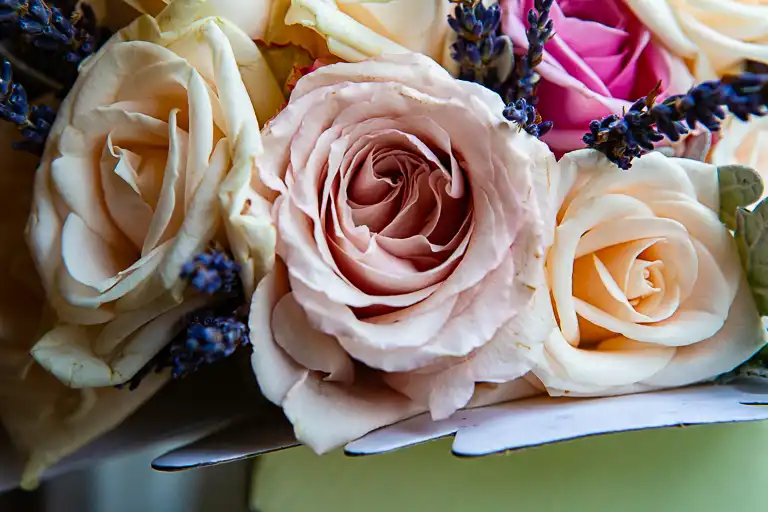 Wedding photography at Tewin Bury Farm, Welwyn